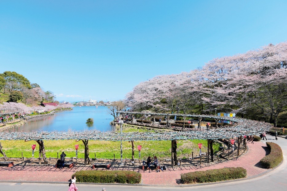 蓮華寺池公園